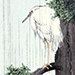 Koho Shoda Gallery